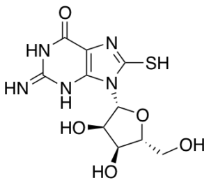 8-Thioguanosine