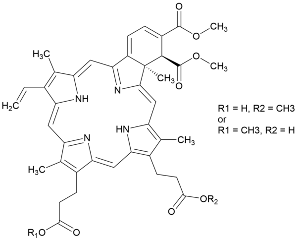 Verteporfin