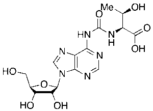 N6-(N-Threonylcarbonyl)adenosine