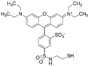Sulfo Rhodamine Amidoethyl Mercaptan