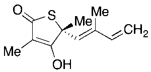 (R)-(+)-Thiolactomycin