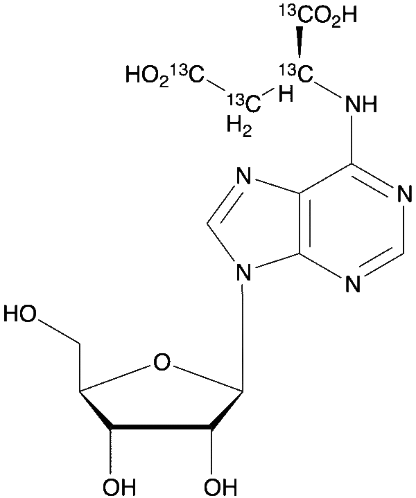 N6-Succinyl Adenosine-13C4
