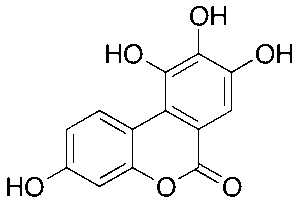 Urolithin M6
