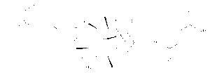 Tiamulin Fumarate