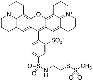 Texas Red®-2-sulfonamidoethyl methanethiosulfonate