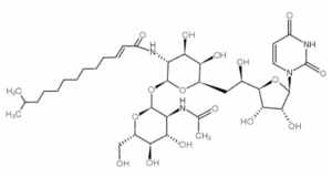 Tunicamycin