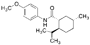 WS 12