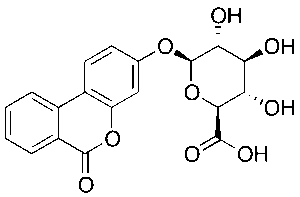 Urolithin B Glucuronide