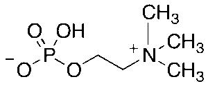 Trimethyl Orthopropionate