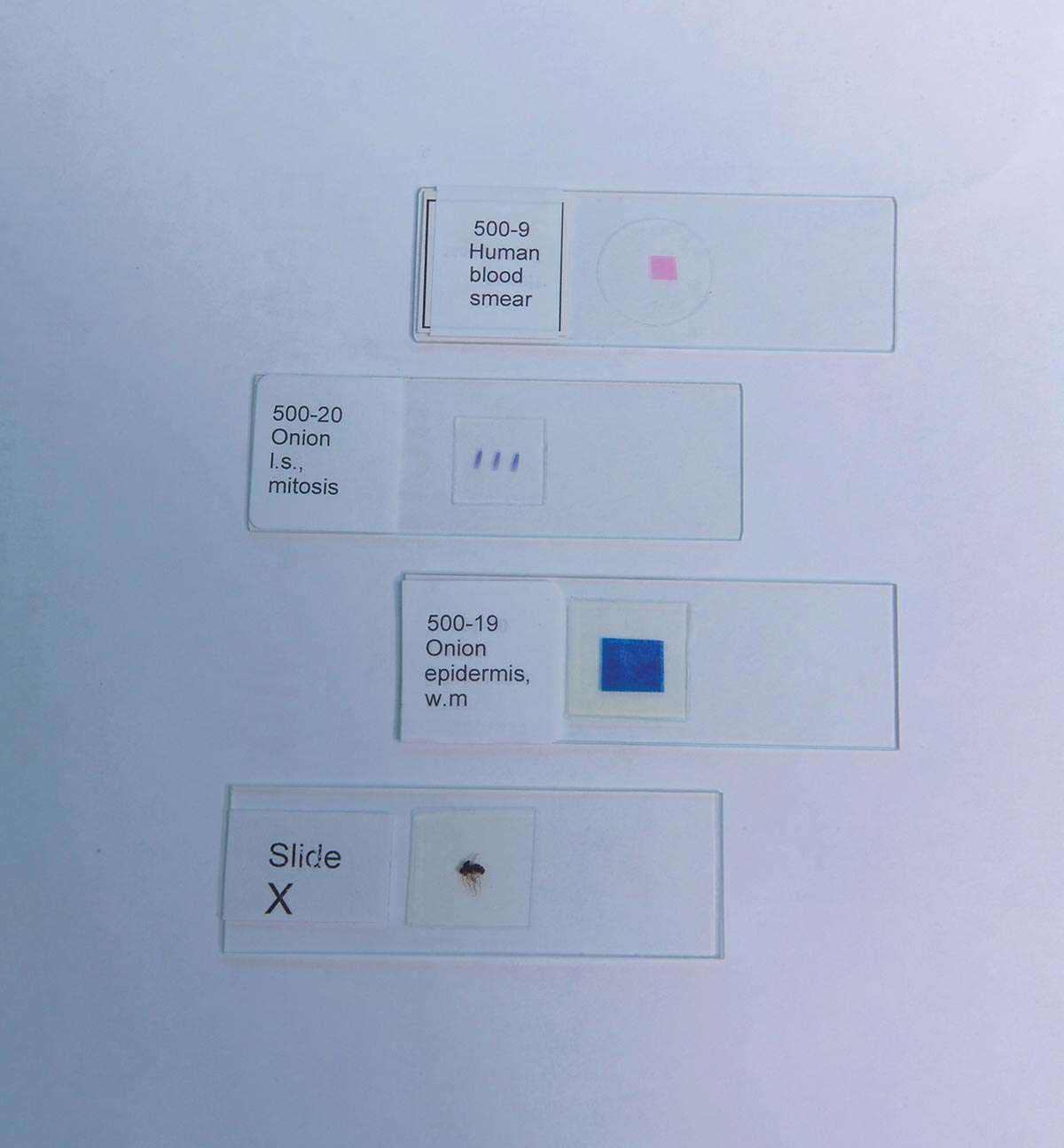 United Scientific® SPIDER, WM