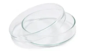 Borosil® Culture/Petri Dish, with Cover, 3.3 Borosilicate, 200 mm x 20 mm (OD x H), 10/CS