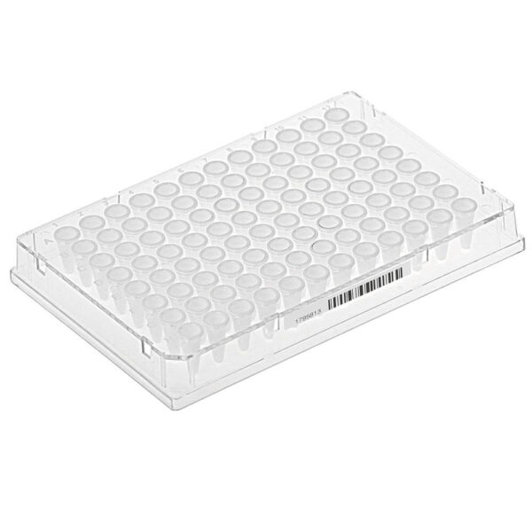 Diamond Shell 0.1mL 96 well PCR Plate