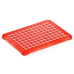 Diamond Shell 384-well PCR plate, A24