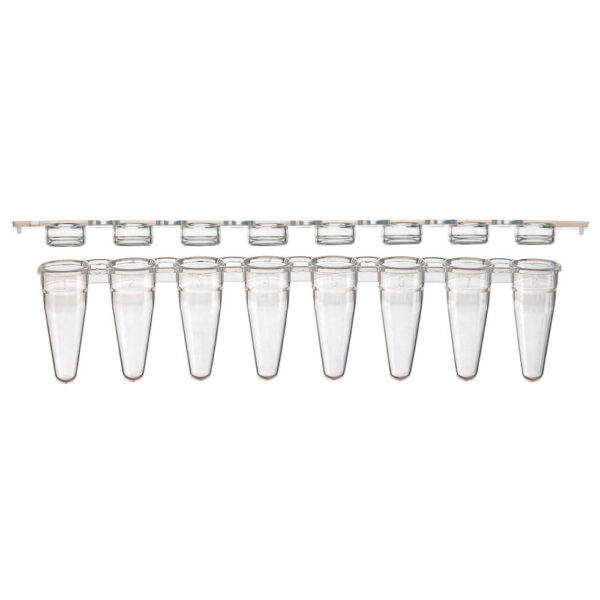 PCR 8-strip tubes, 0.1mL, low profile, PP, natural