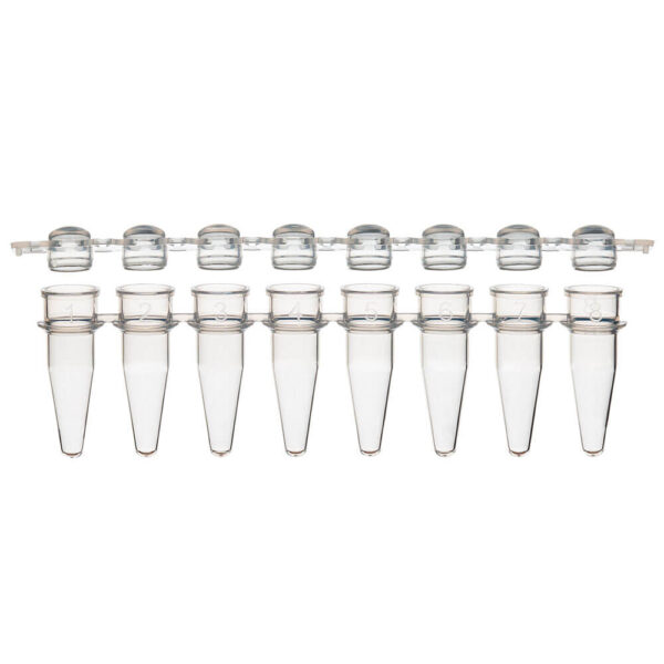 0.2mL 12-Strip Tubes, with Separate