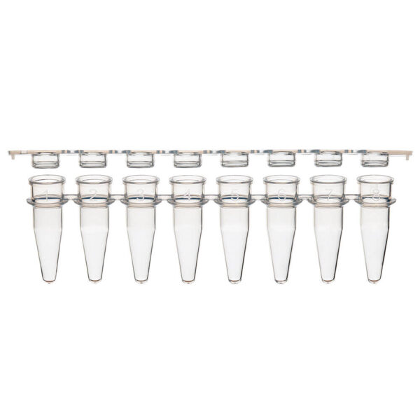 0.2mL 12-Strip Tubes, with Separate