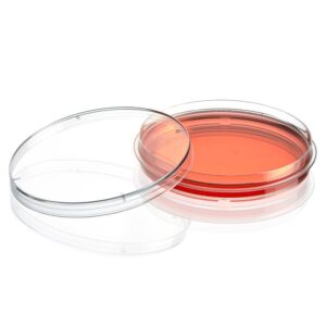 Cell Culture Dish, TC Treated, 100mm