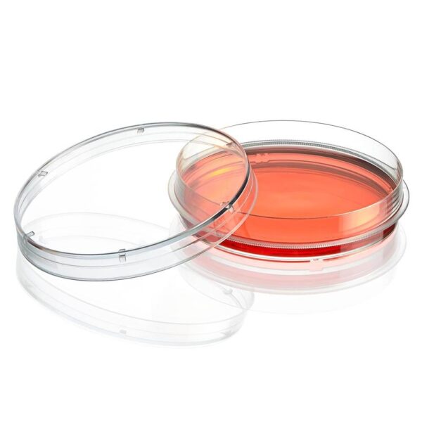 Cell Culture Dish, TC Treated, 100mm,XL