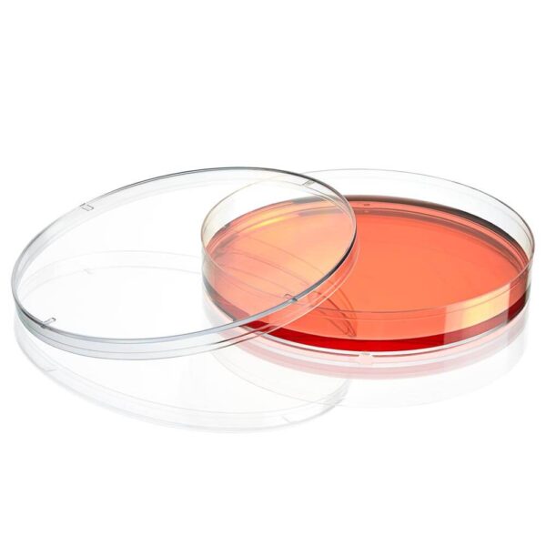 Cell Culture Dish, TC Treated, 150mm