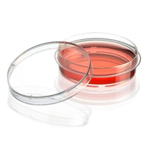 Cell Culture Dish, TC Treated, 60mm