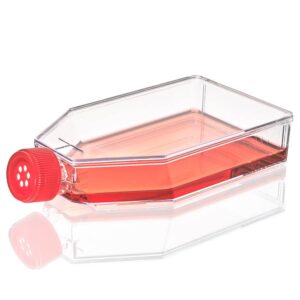 Cell Culture Flask, TC Treated, 182cm2