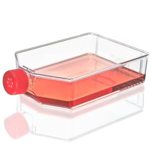 Cell Culture Flask, TC Treated, 225cm2