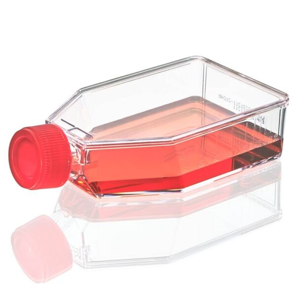 Cell Culture Flask, TC Treated, 75cm2