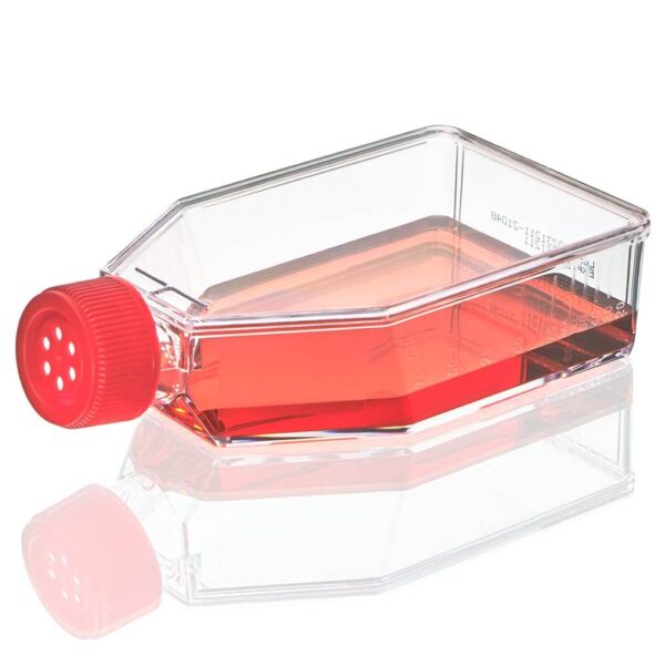 Cell Culture Flask, TC Treated, 75cm2