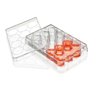Multiple Well Plate, 12 Well,Non-treated