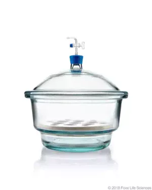 Borosil® Glass Vacuum Desiccator with Porcelain Plate and Borosilicate Lid with Glass Stopcock and PTFE Spindle, Large (L), 300 mm Diameter, 1/EA