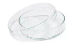 Borosil® Culture/Petri Dish, with Cover, 3.3 Borosilicate, 80 mm x 17 mm (OD x H),  100/CS