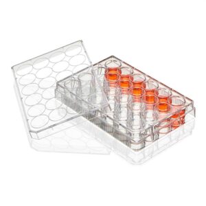 Multiple Well Plate, 24 Well,Non-treated