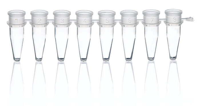 PCR tubes and domed caps, strip of 8 colorless, PP, 250 sets