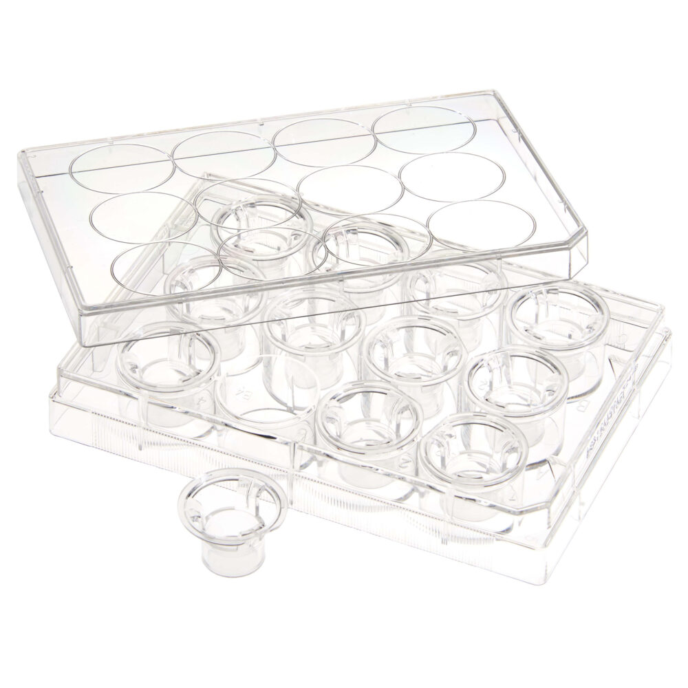 Permeable Cell Culture Inserts, Packed in 12 Well Plate, Hanging, PET, 8.0µm, Sterile
