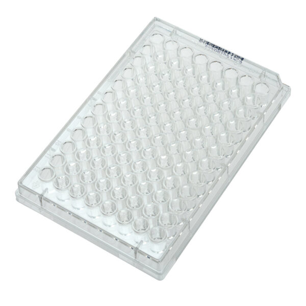 96 Well Non-treated Plate without Lid, Individual, Sterile