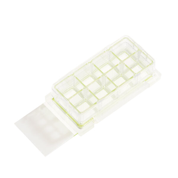 8 Chamber Cell Culture Slide, Glass, Sterile