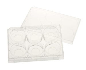 6 Well Tissue Culture Plate with Lid, 20mm Glass Bottom, Individual, Sterile