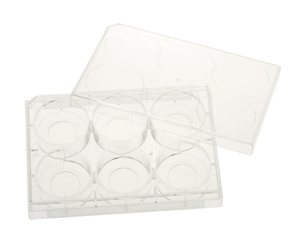 6 Well Tissue Culture Plate with Lid, 20mm Glass Bottom, Individual, Sterile
