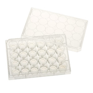24 Well Tissue Culture Plate with Lid, 10mm Glass Bottom, Individual, Sterile