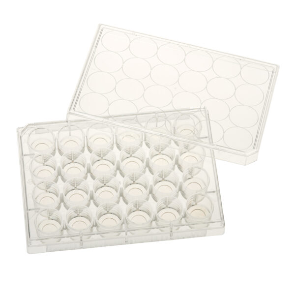 24 Well Tissue Culture Plate with Lid, 10mm Glass Bottom, Individual, Sterile