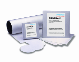 PROTRAN BA83 82MM 50/PK