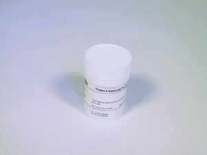 PROTEIN A-SEPHAROSE CL-4B 1.5G