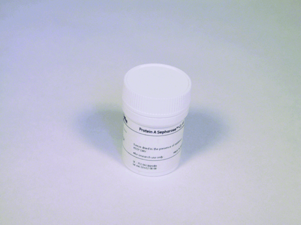 PROTEIN A SEPHAROSE CL-4B 500ML