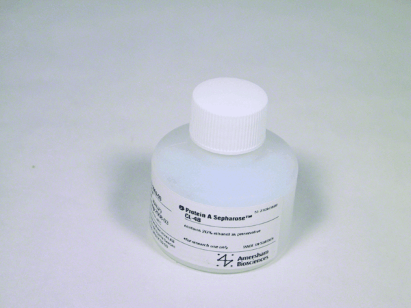 PROTEIN A SEPHAROSE CL-4B, 25 ML