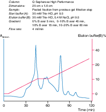 Q SEPHAROSE HIGH PERF. 75 ML