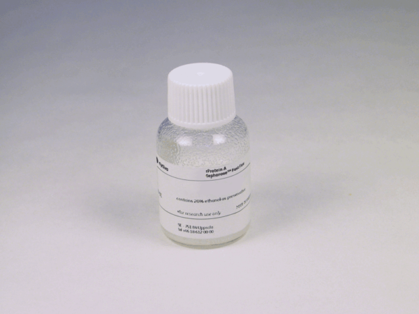 RPROTEIN A SEPHAROSE FF 5 ML