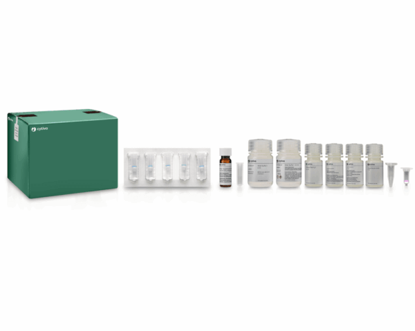 RNASPIN MINI (10)