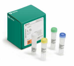 GENOMIPHI V2 DNA AMP KIT 25RXN