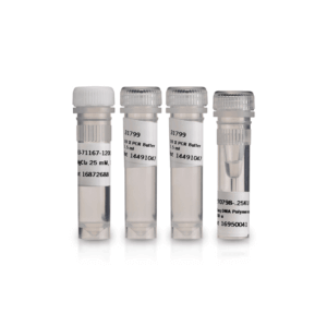 RECOMBINANT TAQ DNA POLYMERASE (250 Units)