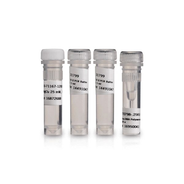 RECOMBINANT TAQ DNA POLYMERASE (10 x 250 Units)